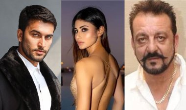 मेरे लिए चुनौतीपूर्ण थी संजय दत्त की भूमिका-नवनीत मलिक