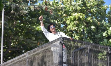 फ़िल्म चिड़ियाखाना के हाथ लगी कामयाबी