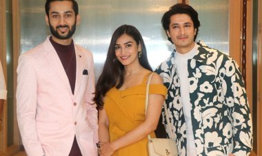 'एमएफए रिकॉर्ड्स कलाकार को 360 डिग्री बढ़ावा देगा', अनुराग सिन्हा