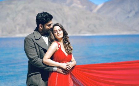 शाहरुख खान के गीत 'गेरुआ' की याद दिलाता है शौर्य मेहता और सृष्टि रोड़े का म्यूजिक वीडियो 'दिल ये दिलबरो'